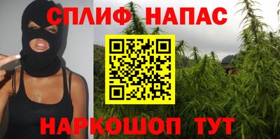 гидра Гагарин