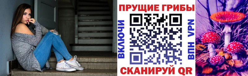 закладки  маркетплейс формула  Псилоцибиновые грибы Psilocybe  Зеленодольск 