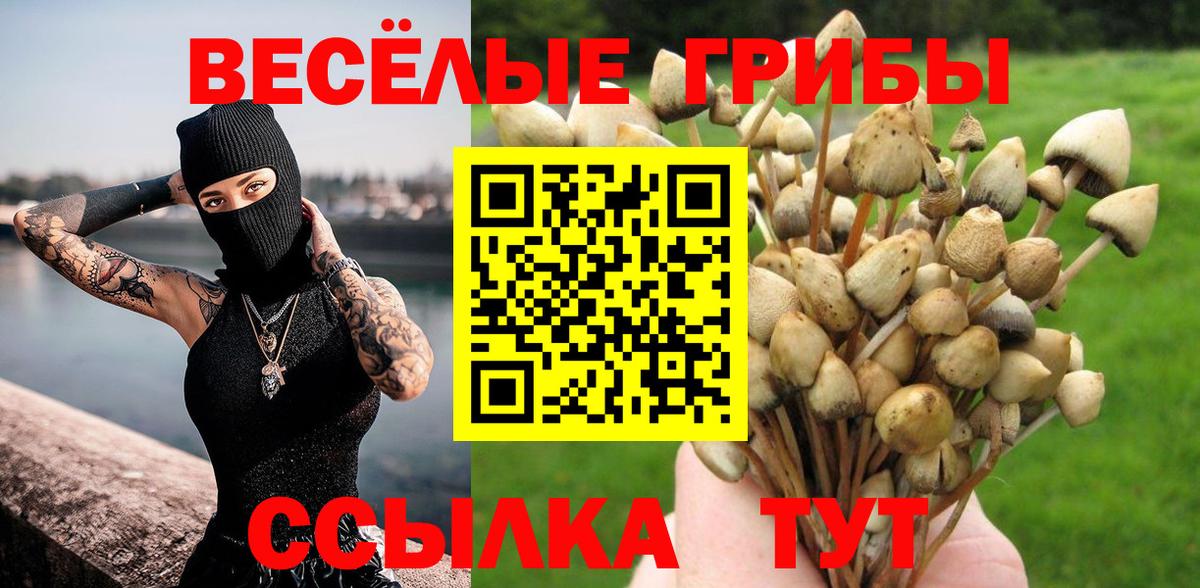 Псилоцибиновые грибы мицелий Зеленодольск
