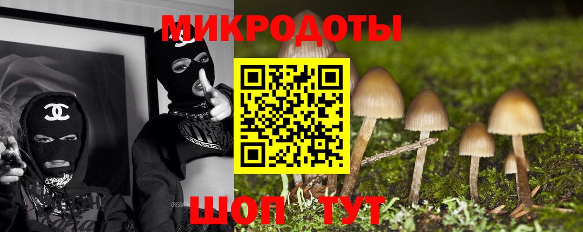 Галлюциногенные грибы Psilocybe  Галлюциногенные грибы прущие грибы  Зеленодольск  Вход с VPN 